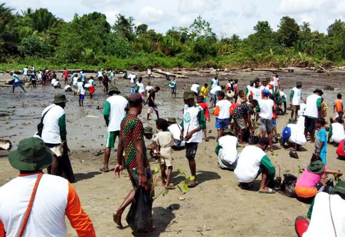 Masyarakat dari beberapa kampung di Buruway melakukan penanaman bersama mangrove di Kampung Yarona Distrik Buruway.